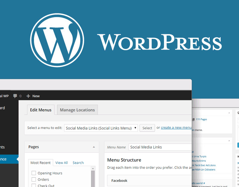 Custom WordPress Theme